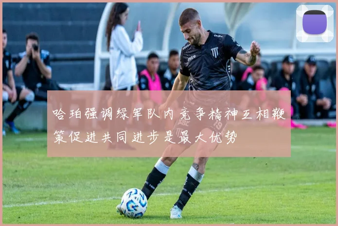 哈珀强调绿军队内竞争精神互相鞭策促进共同进步是最大优势
