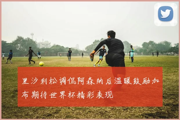里沙利松调侃阿森纳后温暖鼓励加布期待世界杯精彩表现